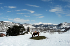 Supervivencia invernal