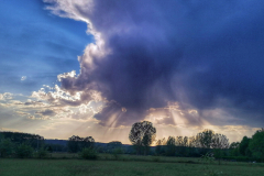 Antes de la tormenta