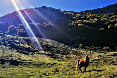 Bajo los rayos del sol