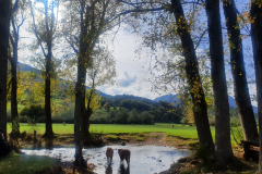 Cruzando el río