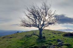 Soledad en la cima