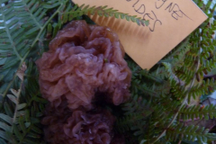 P1090270